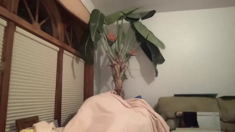 snowbunnyass  11-01-2023